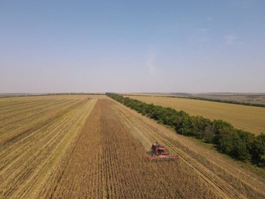 Buğday tarlasında gün batımında çalışan hasat makinesini birleştirin.