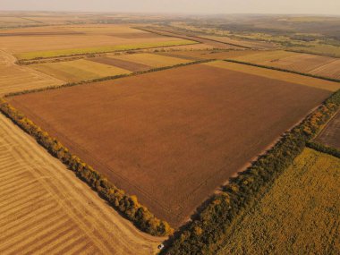 Buğday tarlasında gün batımında çalışan hasat makinesini birleştirin.