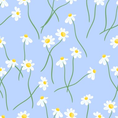Beyaz papatya lar desenli kesintisiz mavi arka plan