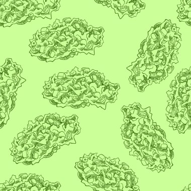 sağlıklı yeşil salata