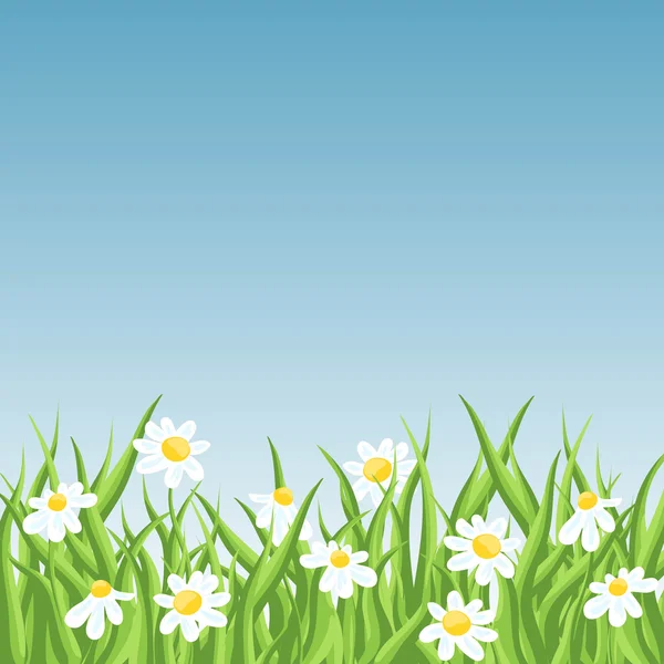 Frisches grünes Gras mit Gänseblümchen auf blauem Himmel Hintergrund — Stockvektor