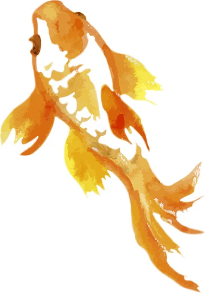 Goldfish. Chinese painting — Stock Vector