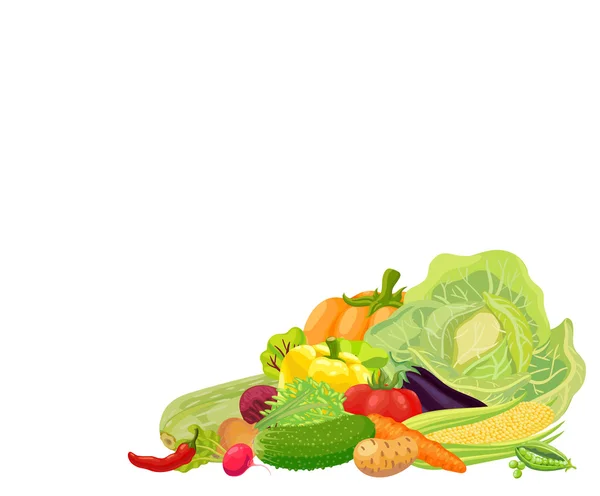 Background. Fresh vegetables from the garden. Carrot, cabbage, green peas, peppers, chili, pumpkin, zucchini, radish, corn, eggplant, tomato, onion, beet, cucumber, potato. With blank place for text — Stock Vector