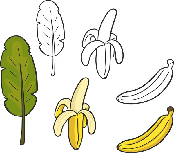 Banan, obranych bananów, liść palmy. Na białym tle — Wektor stockowy