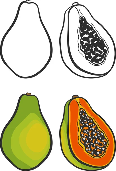 Reife köstliche Papaya in Scheiben geschnitten. isoliert — Stockvektor