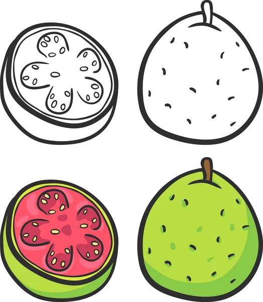Guava ve guava dilimleri seti. Izole — Stok Vektör