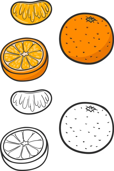 Portakal ve portakal dilimleri kümesi. Izole — Stok Vektör