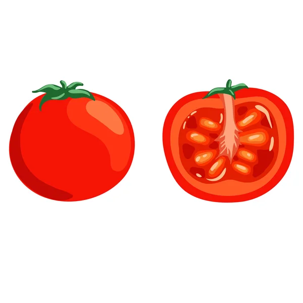 Kırmızı sulu dilimlenmiş domates — Stok Vektör