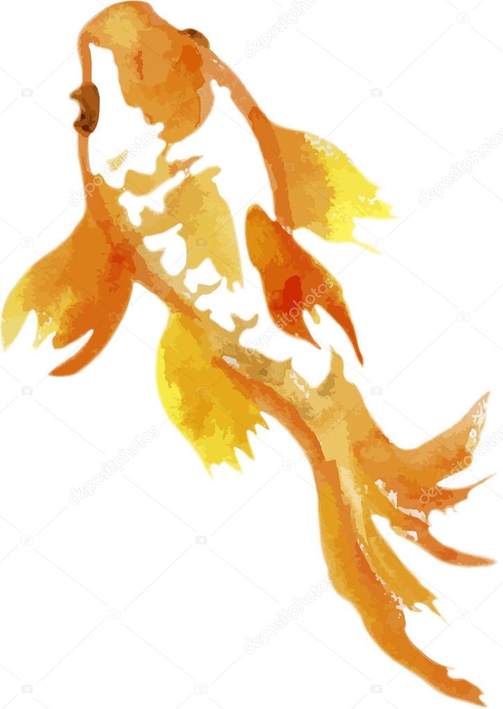 goldfish chinese painting vetor