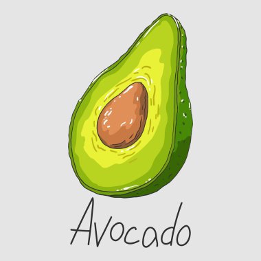 Sağlıklı yiyecekler. Olgunlaşmış yeşil avokado. İzole Clipart seti.