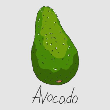 Sağlıklı yiyecekler. Olgun yeşil avokado. İzole Clipart seti.