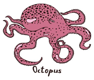 Dokunaçlı ahtapot. Beyaz arkaplandaki yazıyla el çizimi izole edilmiş çizim