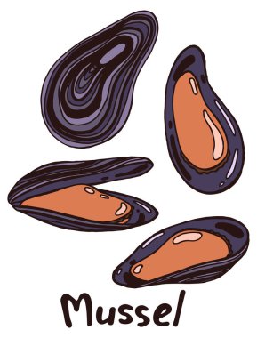 Kapalı ve etli midye kabukları açık. Beyaz arkaplanda yazı olan el çizimi izole resimleme seti