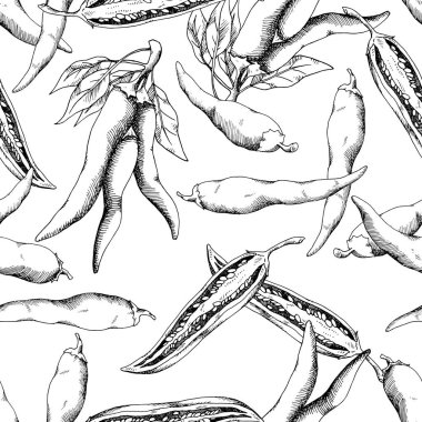 Acı kırmızı biber. Meksika geleneksel baharatı. Lezzetli baharat. Bütün, kesilmiş bitki ve tohumlar. Kusursuz bir altyapısı var. Elle çizilmiş mürekkep çizimi.