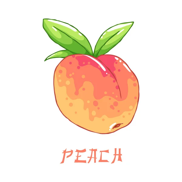 Вкусный Сочный Весенний Апельсиновый Персик Органические Фрукты Зеленые Листья Декоративный — стоковый вектор