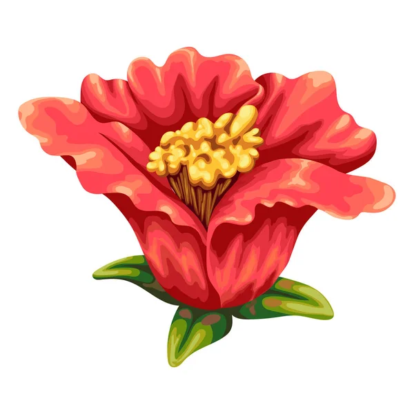 Hermoso Dibujo Una Flor Roja Flores Granada Hojas Verdes Ilustración — Vector de stock