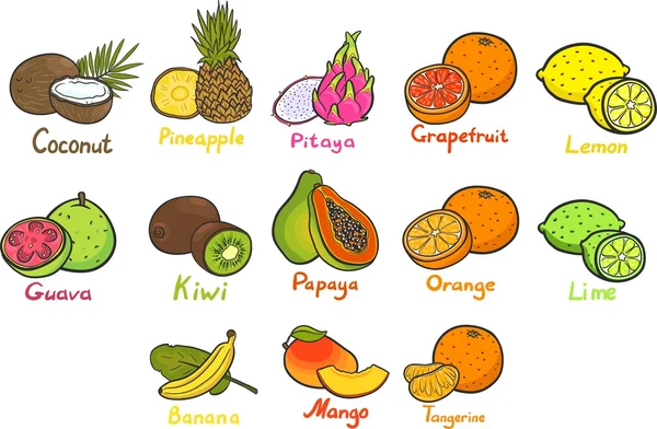 Frutas tropicales. Piña, plátano, limón, lima, naranja, pomelo, coco, papaya, kiwi, pitahaya, mango, guayaba, mandarina . — Vector de stock