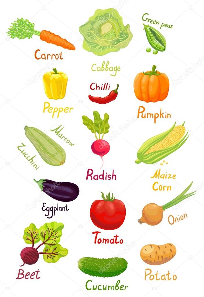 Noms De Fruits Images Vectorielles Noms De Fruits Vecteurs Libres De Droits Depositphotos Noms De Fruits Images Vectorielles Noms De Fruits Vecteurs Libres De Droits Depositphotos