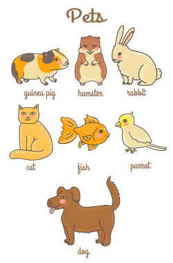 Sevimli çizgi evcil hayvan. Hamster, eskiden şiling şimdi domuz, tavşan, köpek, kedi, papağan, Japon balığı