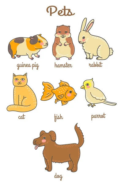 Roztomilý kreslený domácí zvířata. Křeček, morče, králík, pes, kočka, papoušek, zlaté rybky — Stockový vektor