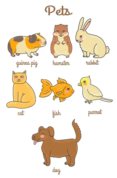 Sevimli çizgi evcil hayvan. Hamster, eskiden şiling şimdi domuz, tavşan, köpek, kedi, papağan, Japon balığı