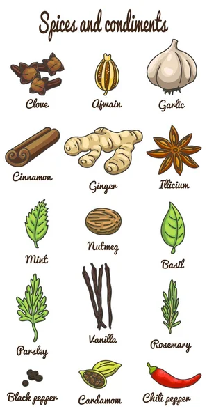 baharat ve soslar