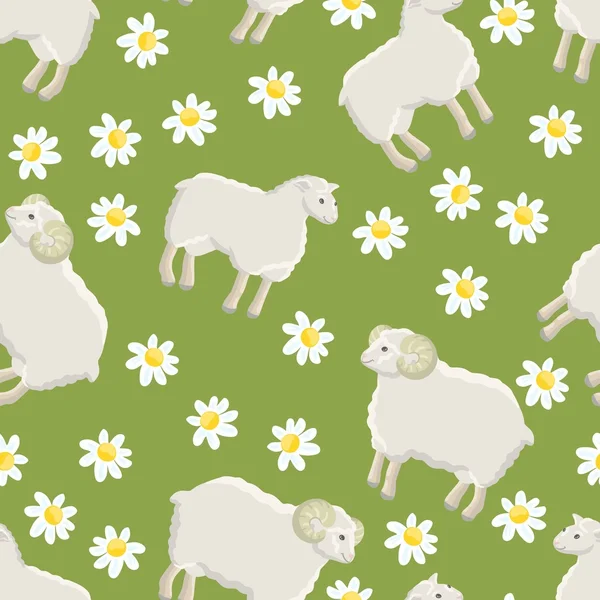 Białe owce, pamięci ram i stokrotki — Wektor stockowy