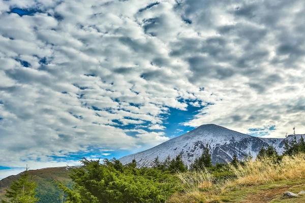 Berg Goverla in het Oekraïens Karpaten — Stockfoto