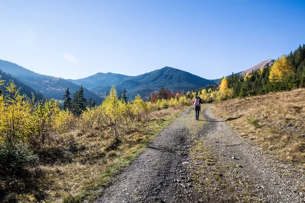 Vrouw wandelingen in de bergen in Oekraïense Karpaten — Stockfoto