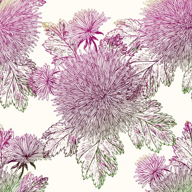 güzel kasımpatı çiçekleri.