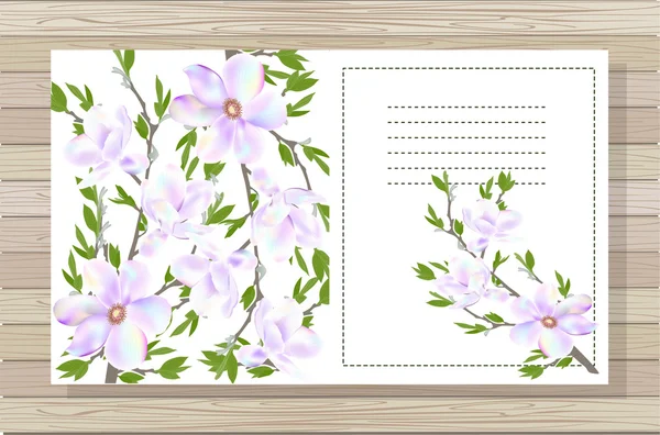 Hermosas flores magnolia . — Vector de stock