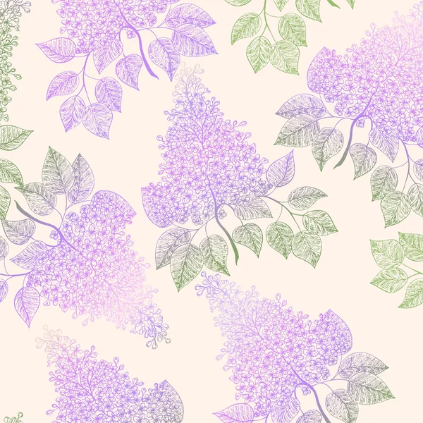 Beautiful Lilac flowers. — Stock Vector