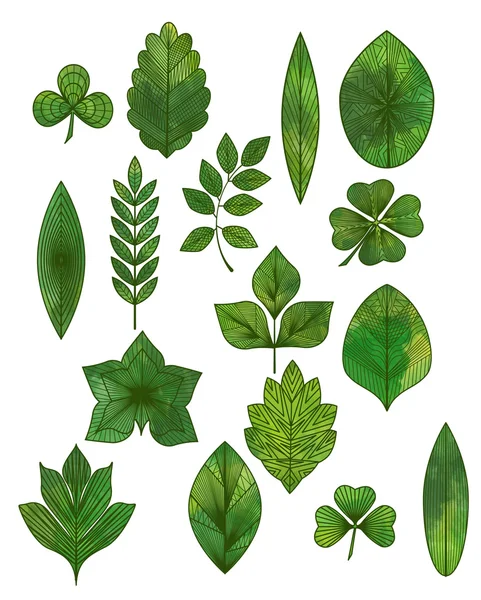 추상적 인 녹색 잎. — 스톡 벡터