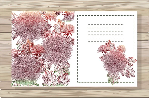 Schöne Chrysanthemenblüten. — Stockvektor