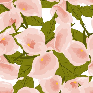 güzel calla çiçekler.