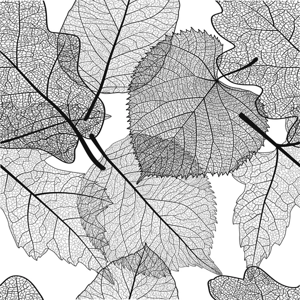 Hintergrund mit schwarzen Blättern — Stockvektor