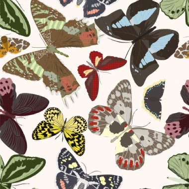 Kelebeklerle kusursuz desen. Vektör illüstrasyonu.