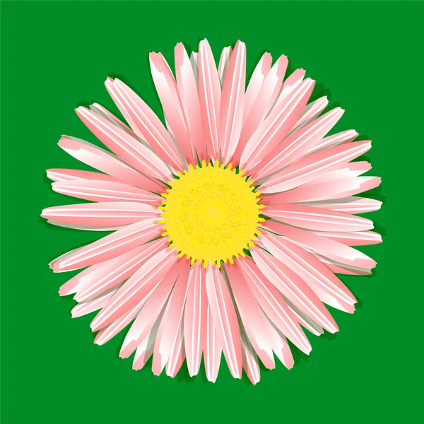 Beau Motif Fleurs Sur Fond Blanc — Image vectorielle
