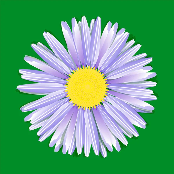 Beautiful Flower Pattern White Background — Stok Vektör