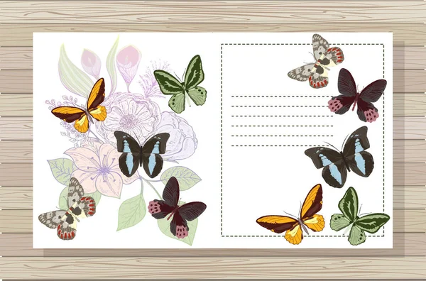 Διανυσματική Απεικόνιση Μιας Πεταλούδας — Διανυσματικό Αρχείο