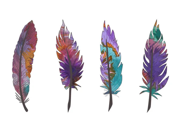 Vector Watercolor Feathers Hand Drawn Illustration White — Stockvektor