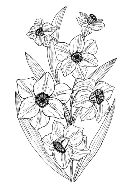 Vector Illustration Hand Drawn Sketch Flowers White Background — 스톡 벡터