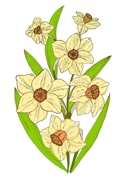 Vector Hand Painted Flower Illustration White — 스톡 벡터
