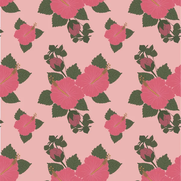 Hibiscus flowers pattern — Stock Vector