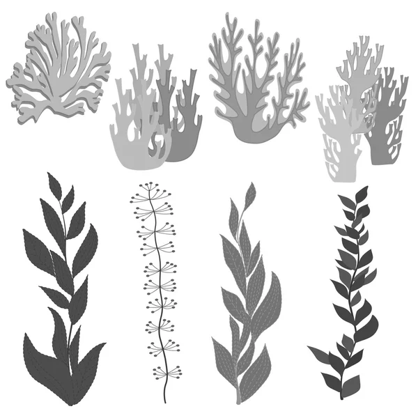 Set  marine plants  and coral . — Stock Vector