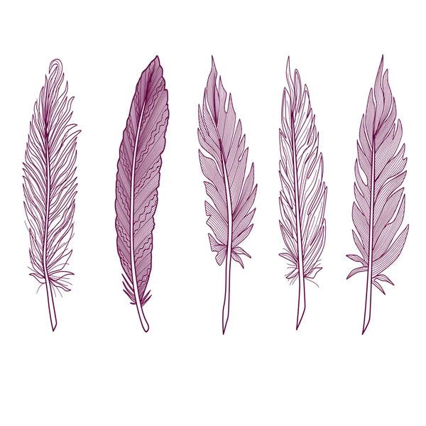Ручной рисунок различных перьев — стоковый вектор