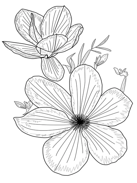 Illustration d'art magnolia . — Image vectorielle