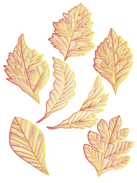 Abstract leaf autumn — Stock Vector