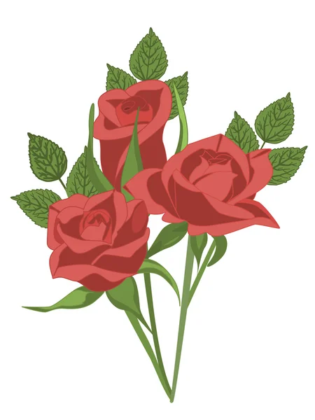 Een boeket van rode rozen. — Stockvector