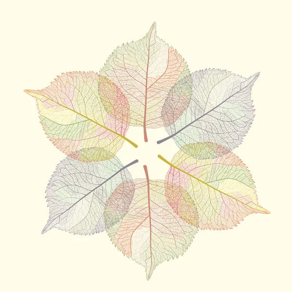 Color hojas de otoño — Vector de stock